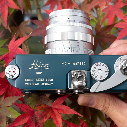 The Skull -You Only Live Once. - Camera Hot Shoe Cover / JP-741