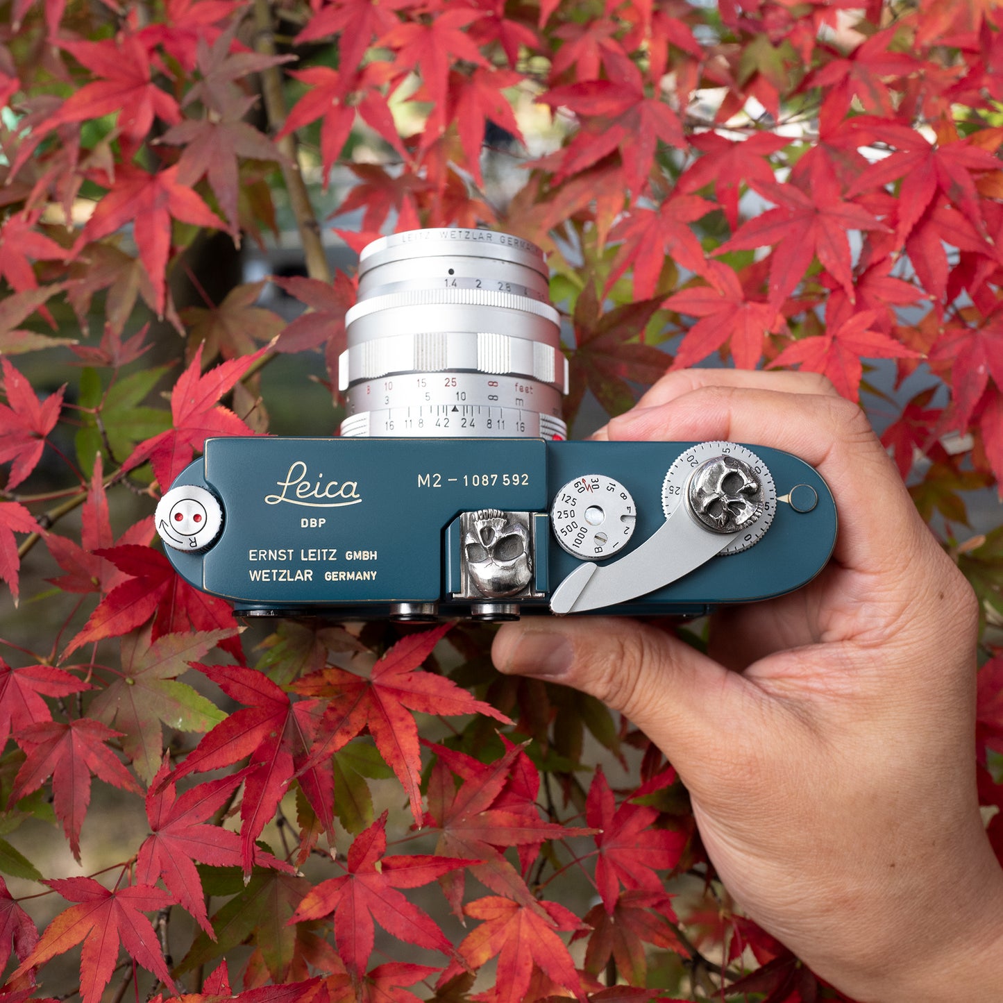 The Skull -You Only Live Once. - Camera Hot Shoe Cover / JP-741