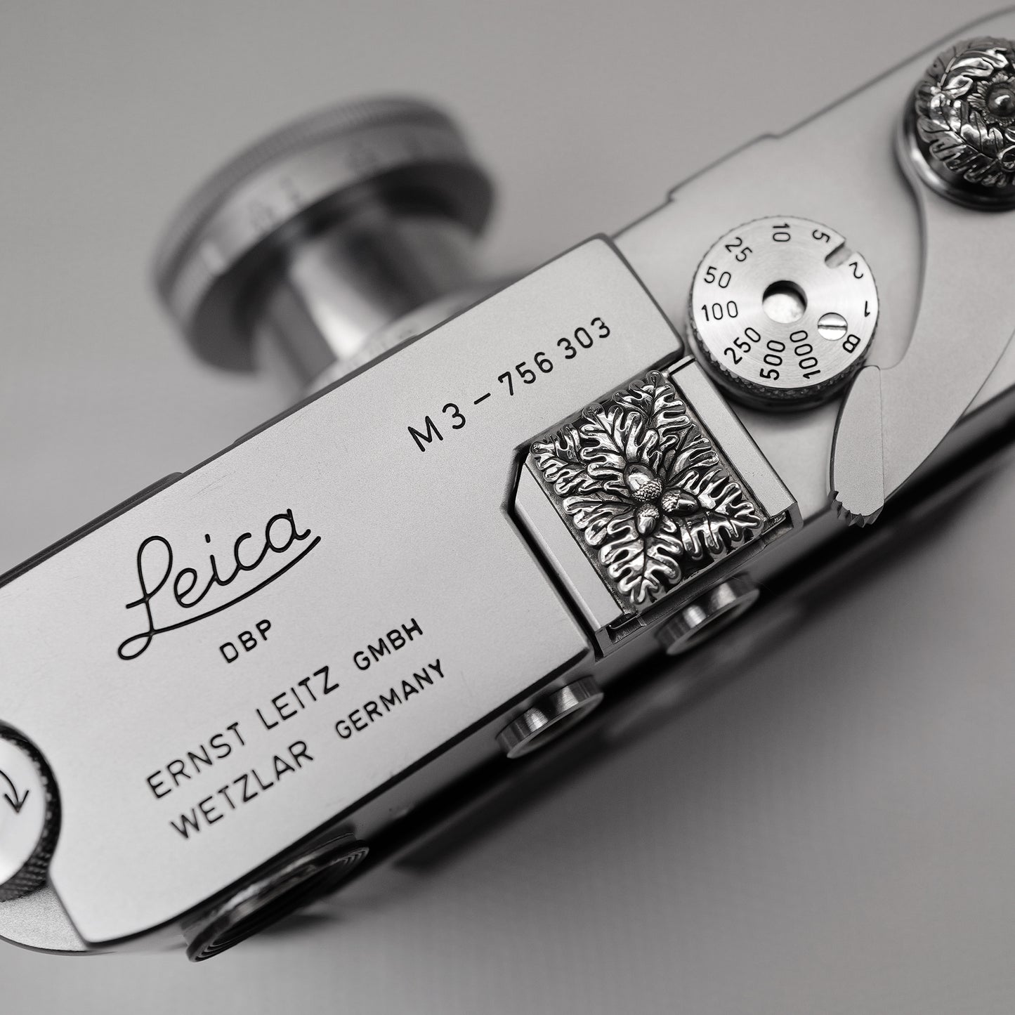 Little Acorns Grow Camera Hot Shoe Cover / JP-761