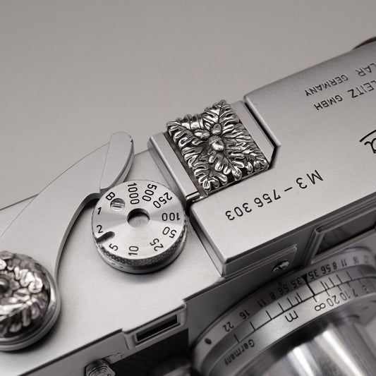 Little Acorns Grow Camera Hot Shoe Cover / JP-761