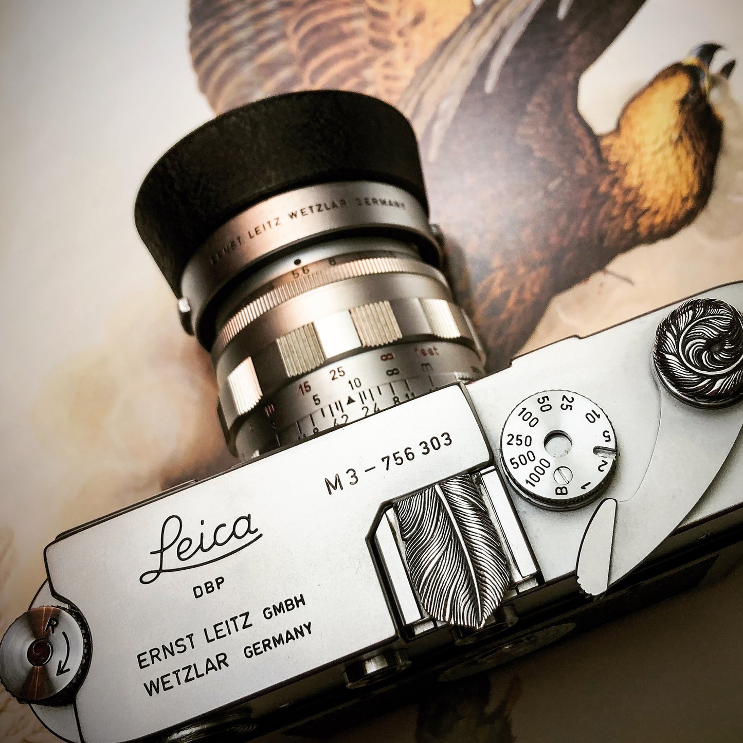 Eagle Feather Camera Hot Shoe Cover / JP-727