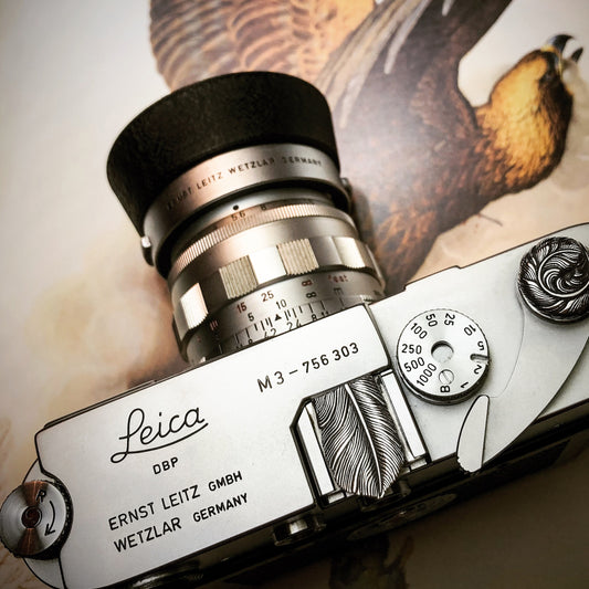 Eagle Feather Camera Hot Shoe Cover / JP-727