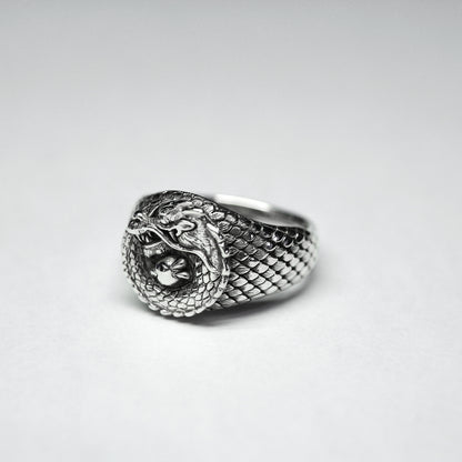 The Dragon Ring / JR-293